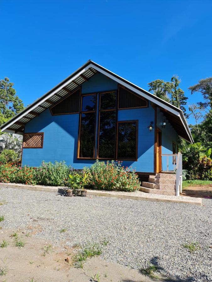 Villa Casa Numu à Cahuita Extérieur photo